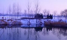 最吸引我的家乡小河