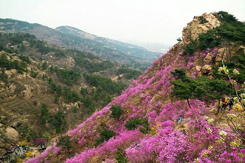 春天来了大竹山