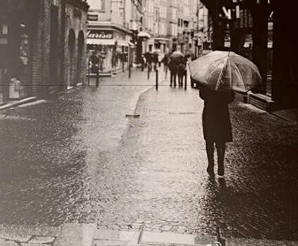 回到雨中
