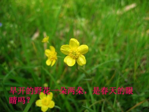 探索春天