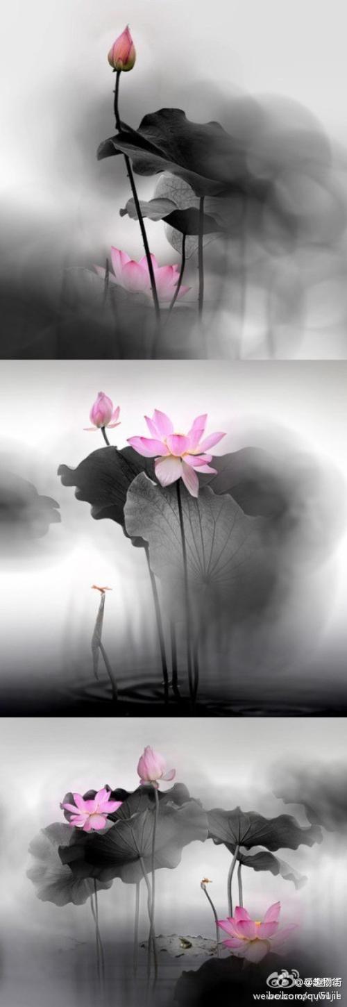即时方华