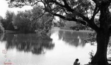 流淌在身边的古老之美