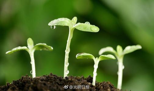 寻求成长的勇气