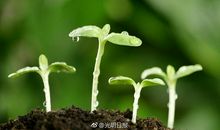 寻找成长的勇气