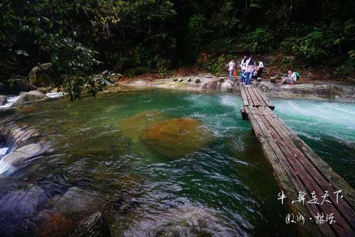 单板桥上的美景