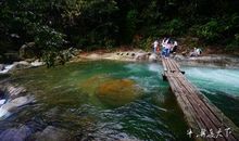 独木桥上好风光