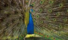 最吸引我的大自然