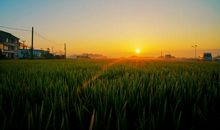 我们的生活充满阳光