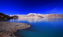 神奇的沙湖_800字