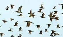 体会人生，放飞生命