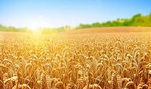 成长在困难中激荡