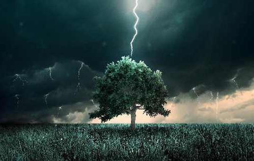 雷雨