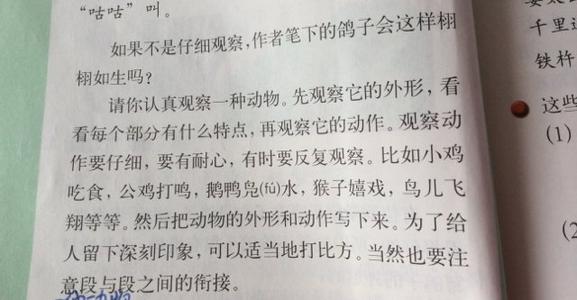 公差为500个字