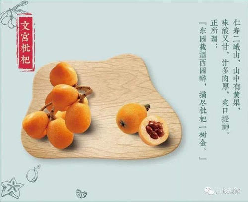 舌尖上的任何东西