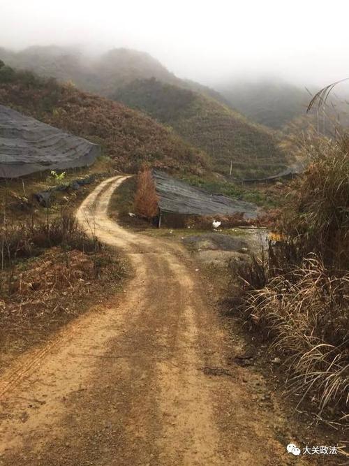 泥泞中的路径