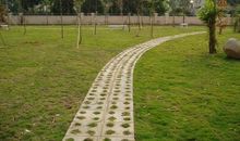 最吸引我的校园美景