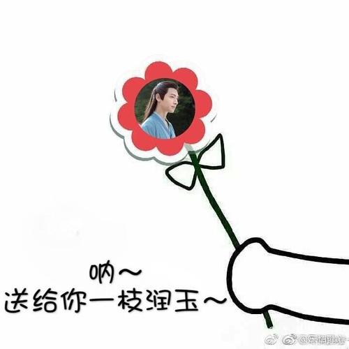 追星