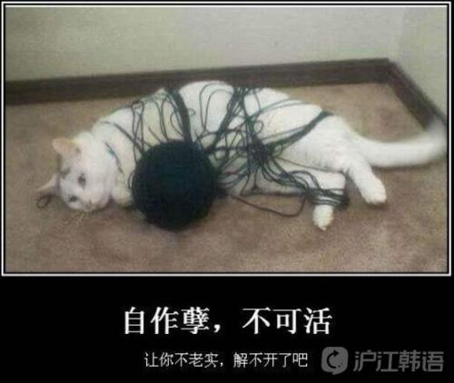 不要犯罪，你不能活