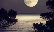 又到中秋月圆时