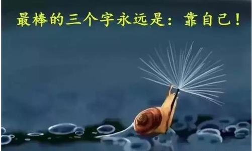 敢于尝试机会并独自赢得胜利