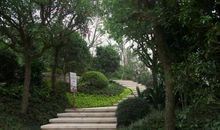 漫步中央山公园