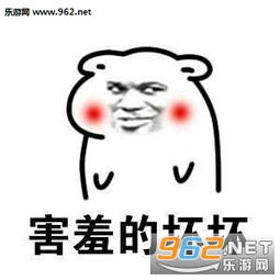 追星是好是坏