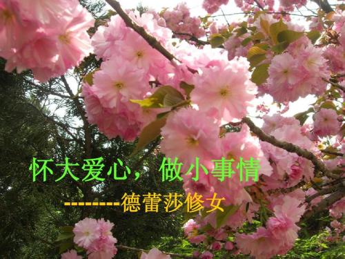 爱常体现在小事上