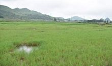 成长的路上感谢有您