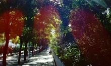 你的话如雨后的第一抹阳光