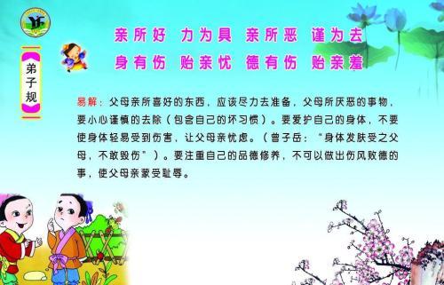 弟子规学习经历