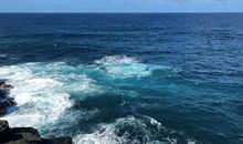 徜徉在海的怀抱