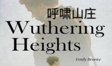 不要在黑暗中迷失——读《呼啸山庄》有感