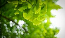 万物复苏的春天