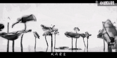 写作风格