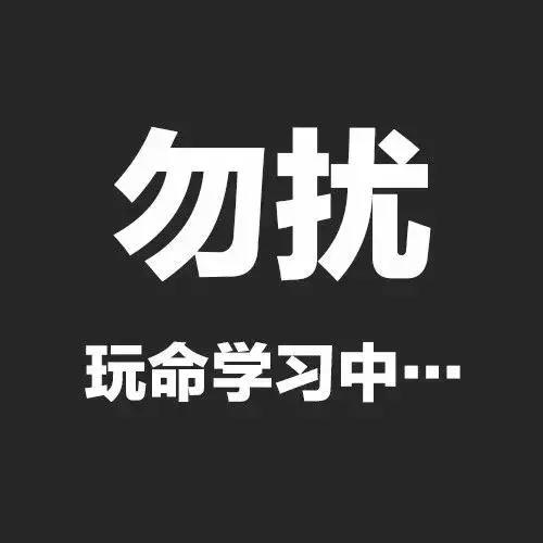 他们