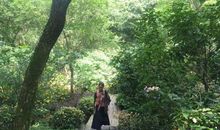 那一份夏日情怀