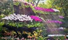 植物园徒步游记