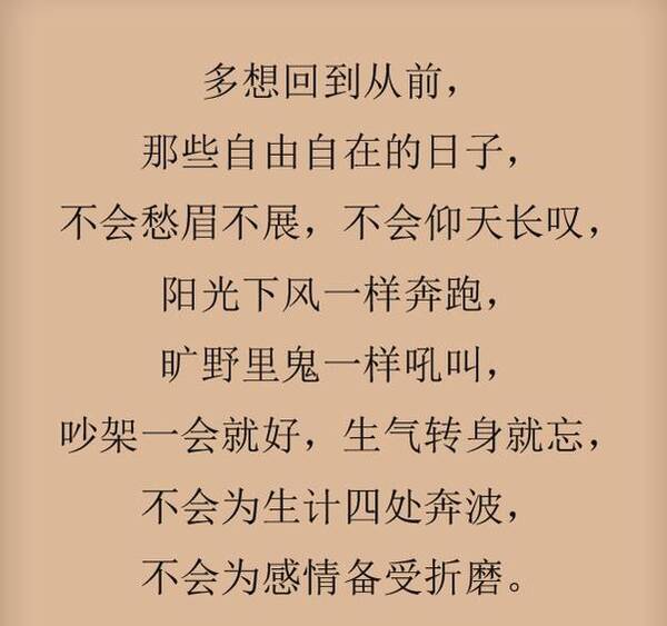 用真诚的心学习文化