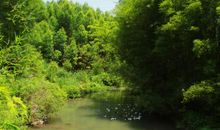 我爱乡村的小河