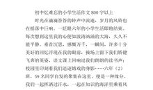 我的初中生活_800字