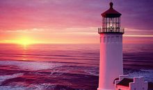 坚持也是一种美