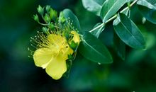 倾听岁月的声音