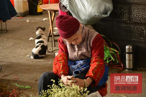 温暖的景色