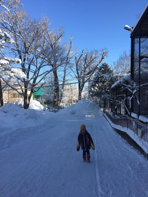 雪趣