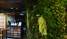 生命因你而精彩