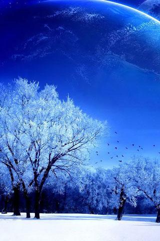 冬天的雪
