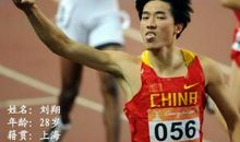 我喜爱的奥运冠军——刘翔_250字