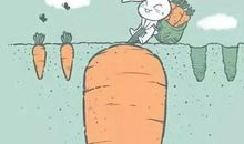 人生路上选择多