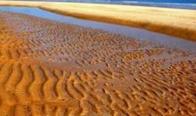 美丽的黄金沙滩