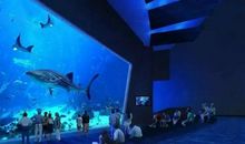 参观万达海洋公园